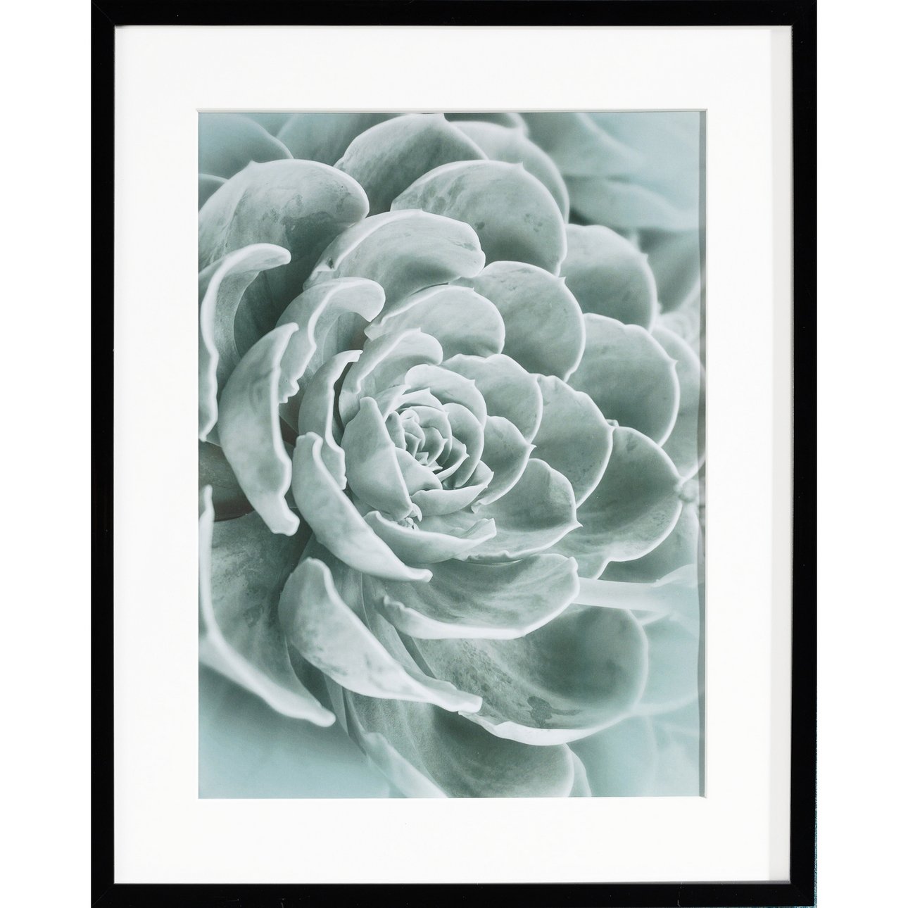 Framed picture Succulents I, 40x50xcm