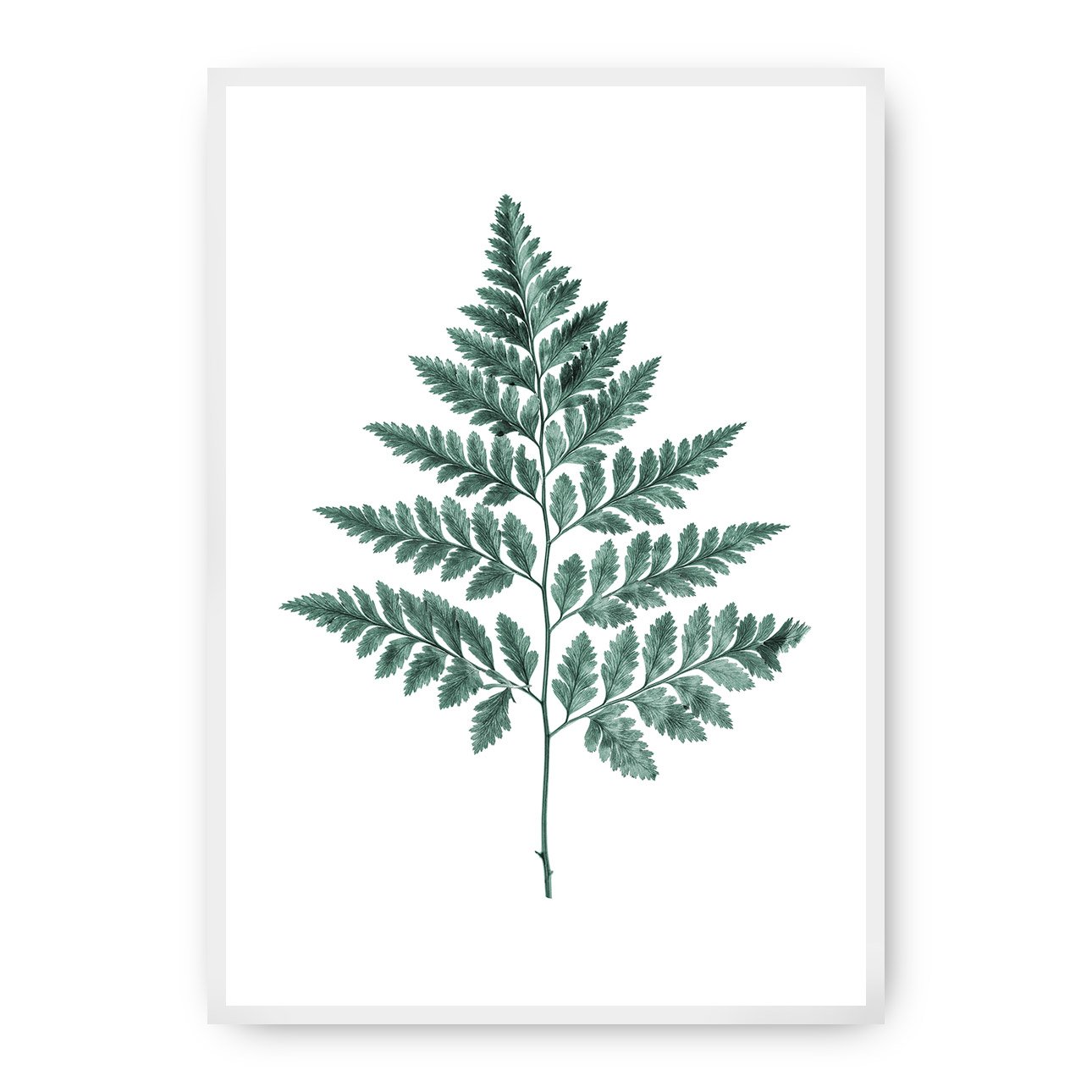 Dekoria Plakát Fern Emerald Green, 21 x 30 cm, Ramka: Biała