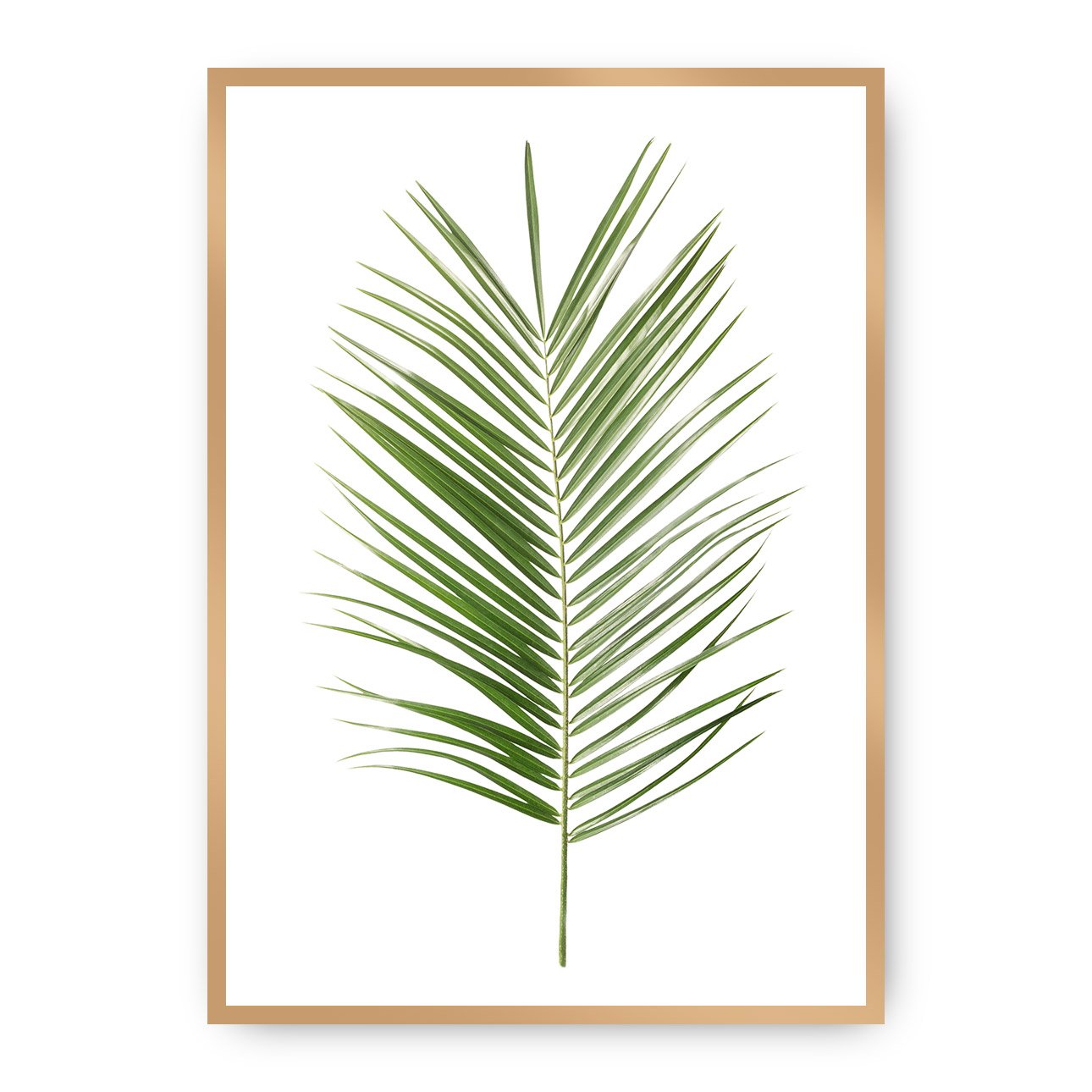 Dekoria Plakát Palm Leaf Green, 21 x 30 cm, Vybrat rám: Zlatý