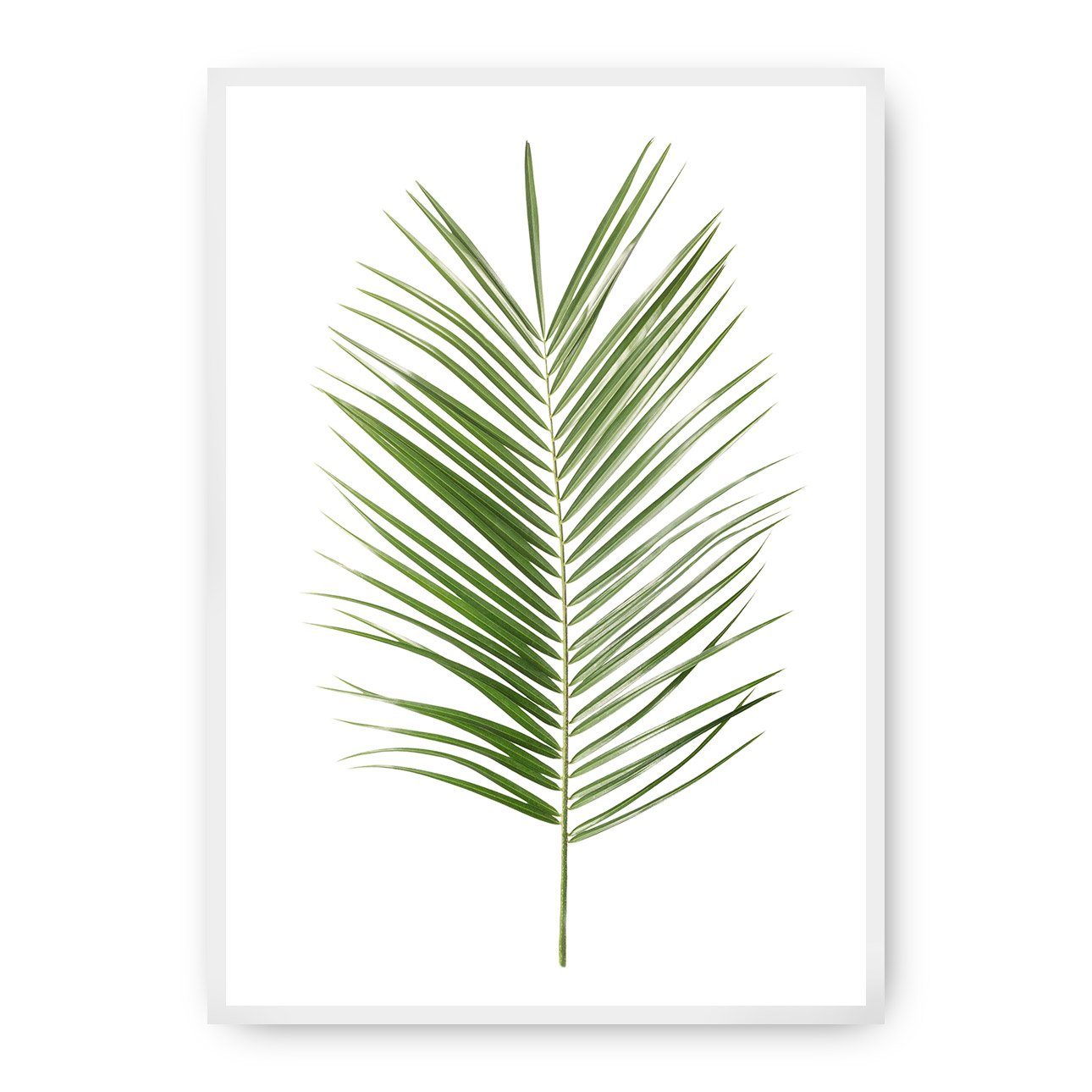 Dekoria Plakát Palm Leaf Green, 70 x 100 cm, Vybrat rám: Bílý