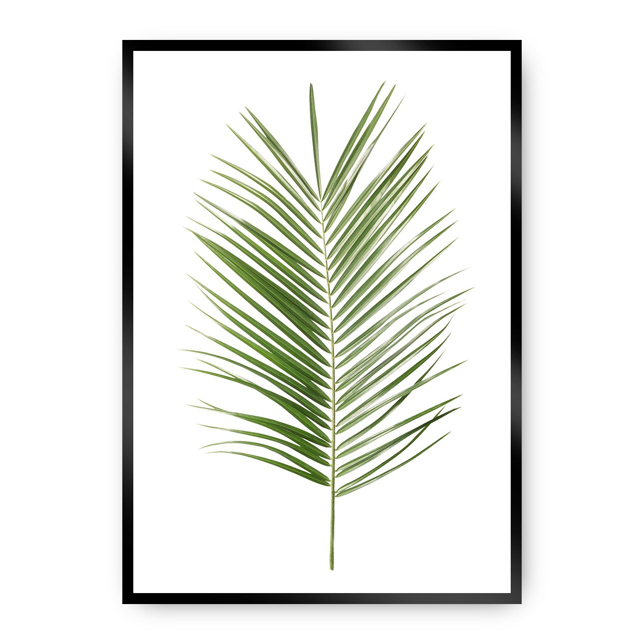 Dekoria Plakát Palm Leaf Green, 40 x 50 cm, Vybrat rám: Černý