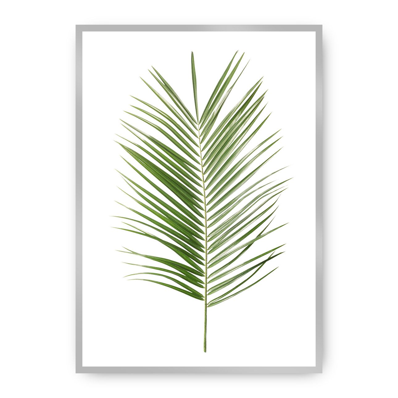 Dekoria Plakát Palm Leaf Green, 50 x 70 cm, Vybrat rám: Stříbrný