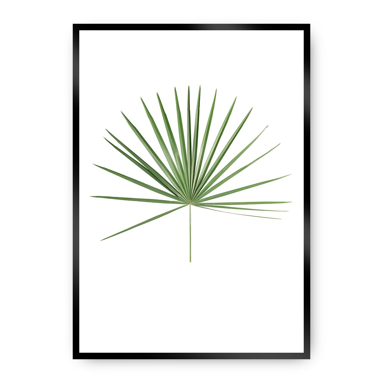 Dekoria Plakát Tropical Leaf Green, 30 x 40 cm, Vybrat rám: Černý