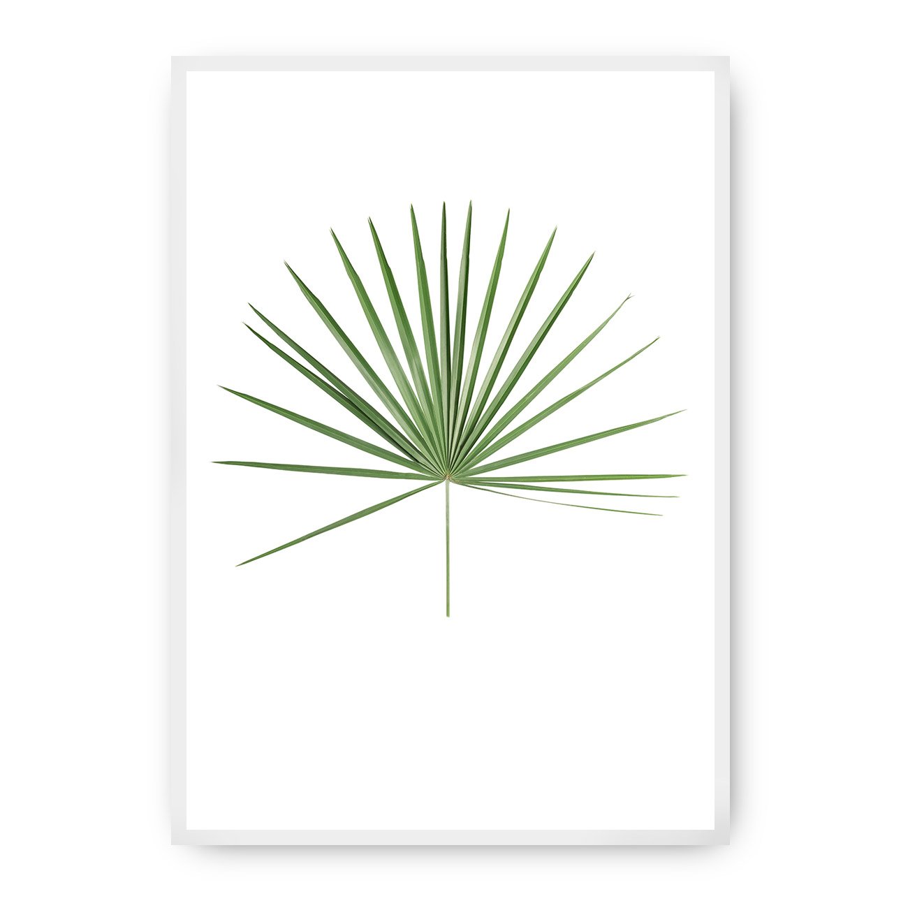 Dekoria Plakát Tropical Leaf Green, 30 x 40 cm, Vybrat rám: Bílý