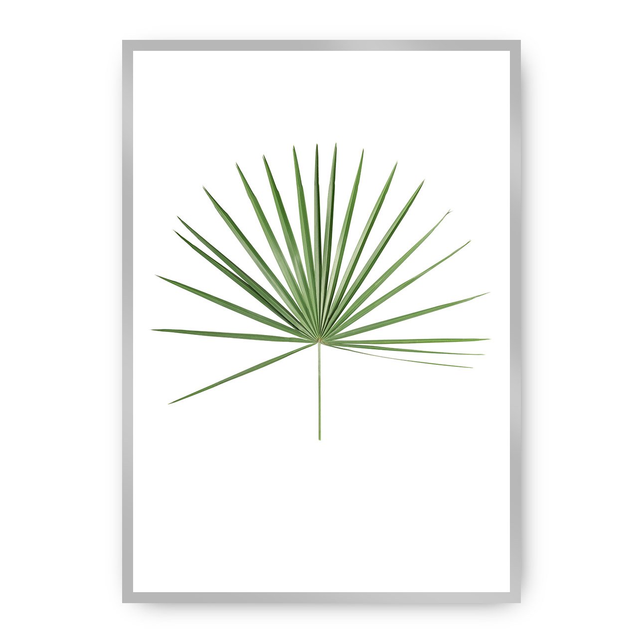Dekoria Plakát Tropical Leaf Green, 70 x 100 cm, Vybrat rám: Stříbrný