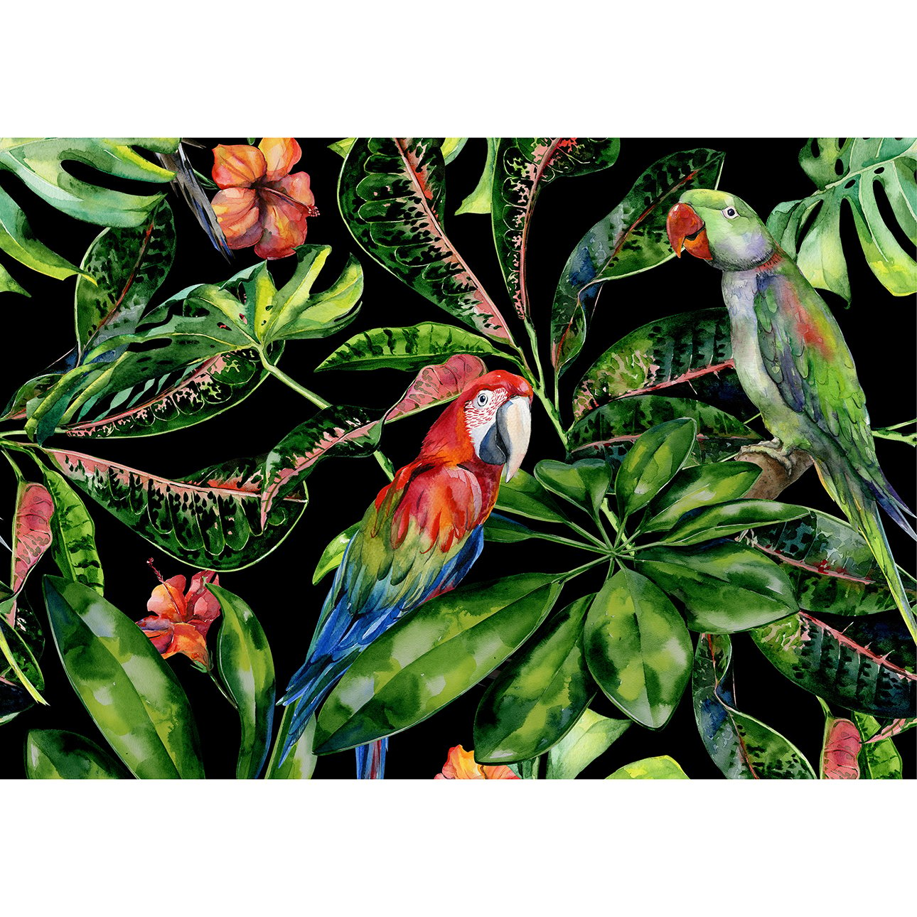 Dekoria Obraz na plátne Tropical Birds, 70 x 100 cm