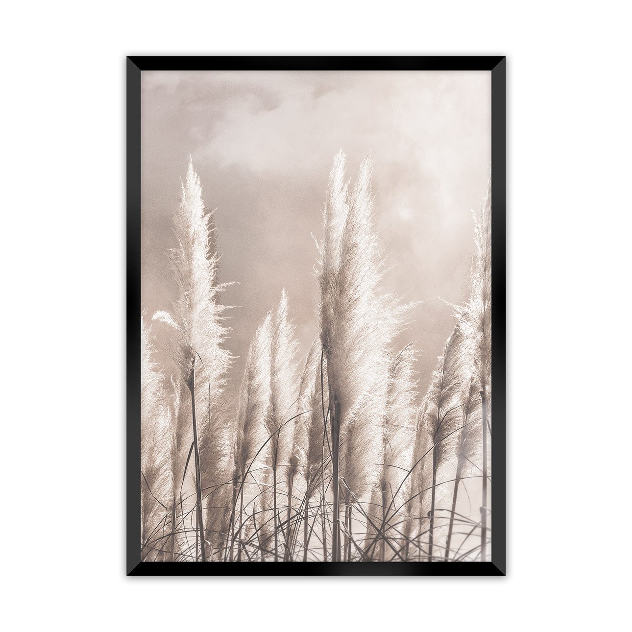 Dekoria Obrázek Grass, 30 x 40 cm