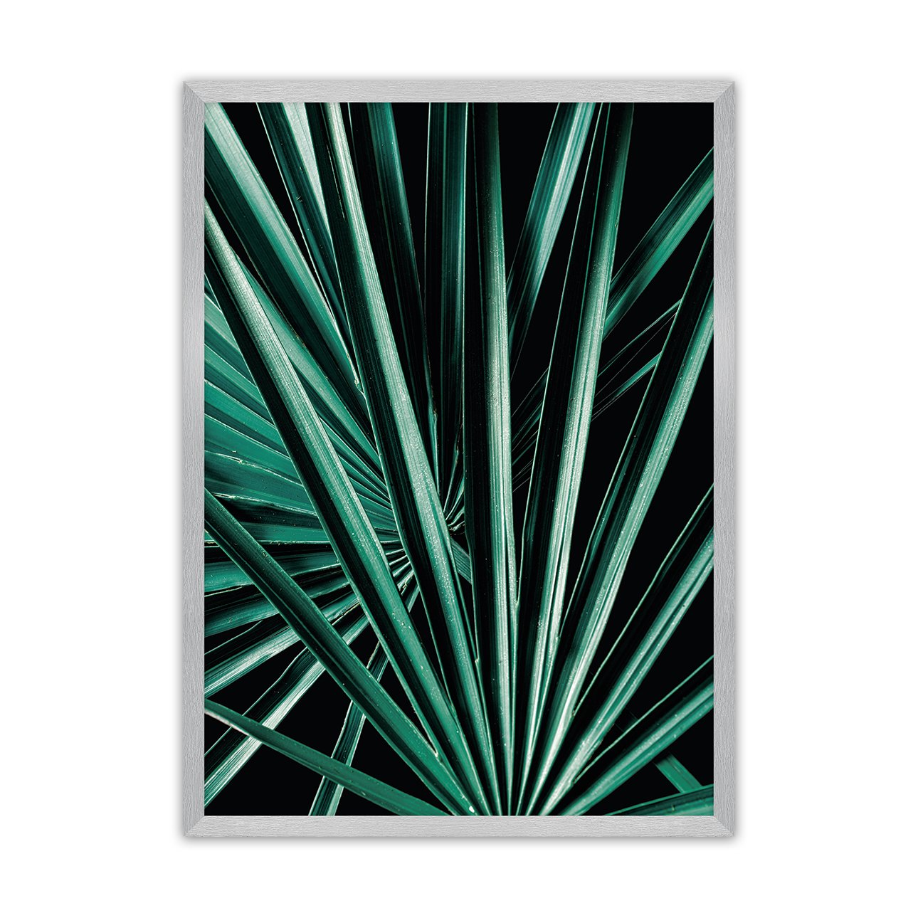 Dekoria Plakát Dark Palm Tree, 70 x 100 cm, Volba rámku: Stříbrný