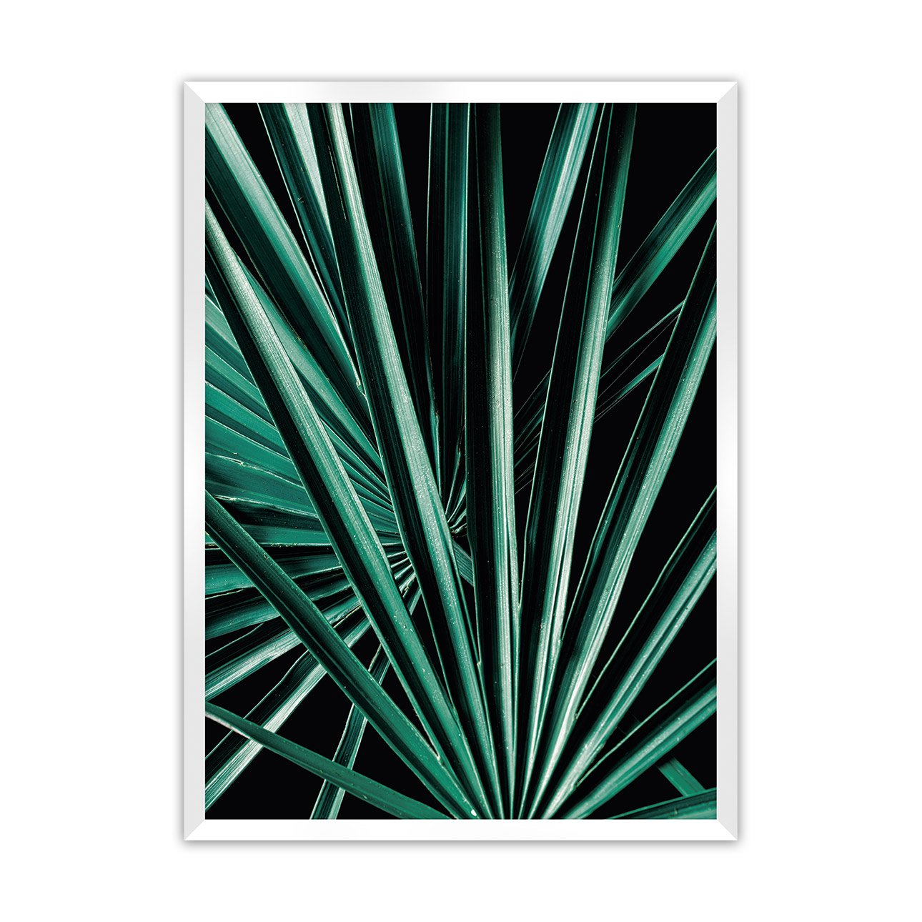 Dekoria Plakát Dark Palm Tree, 40 x 50 cm, Volba rámku: Bílý