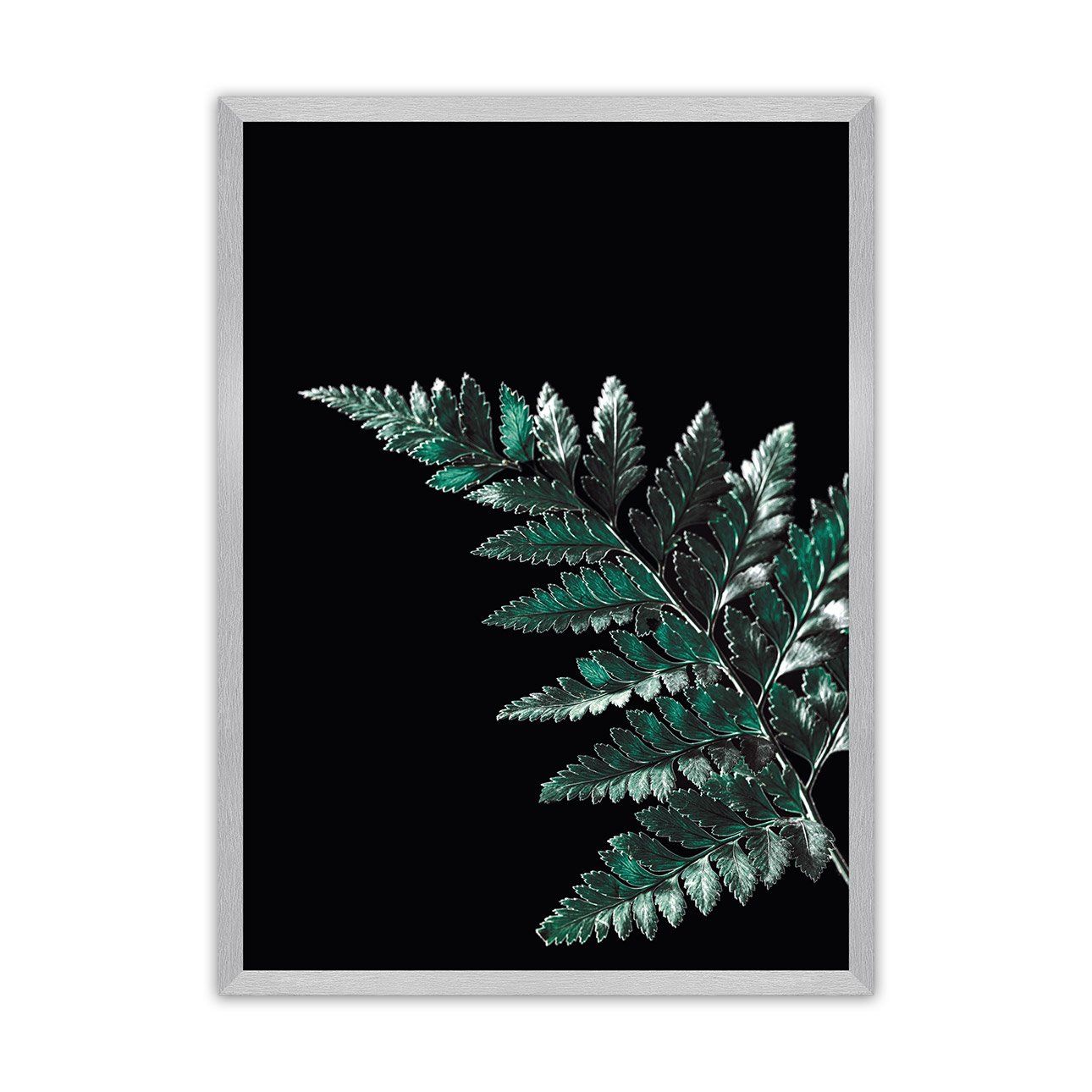 Dekoria Plakát Dark Fern Leaf, 21 x 30 cm, Volba rámku: Stříbrný