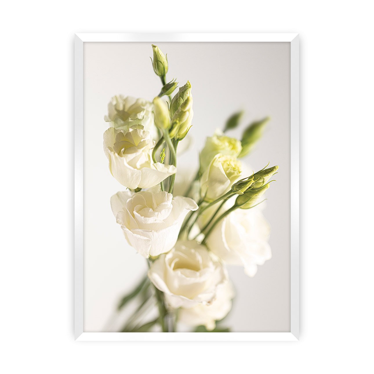 Dekoria Plakát Elegant Flowers, 21 x 30 cm, Volba rámku: Bílý