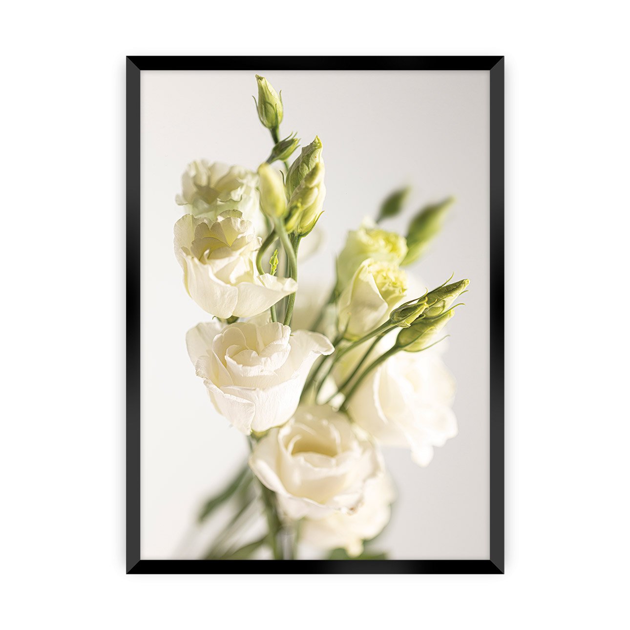 Dekoria Plakát Elegant Flowers, 40 x 50 cm, Volba rámku: Černý
