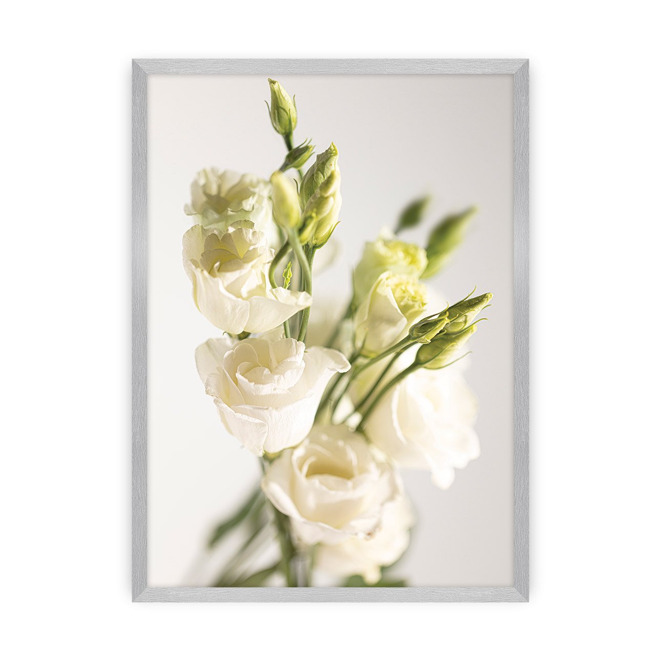 Dekoria Plakát Elegant Flowers, 50 x 70 cm, Volba rámku: Stříbrný