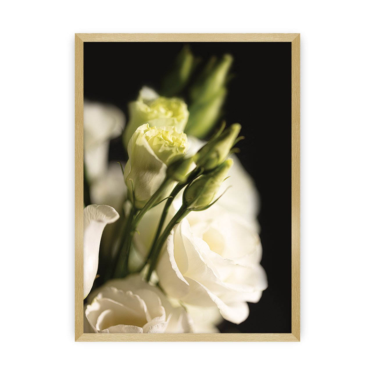 Dekoria Plakát Dark Flowers I, 21 x 30 cm, Volba rámku: Zlatý