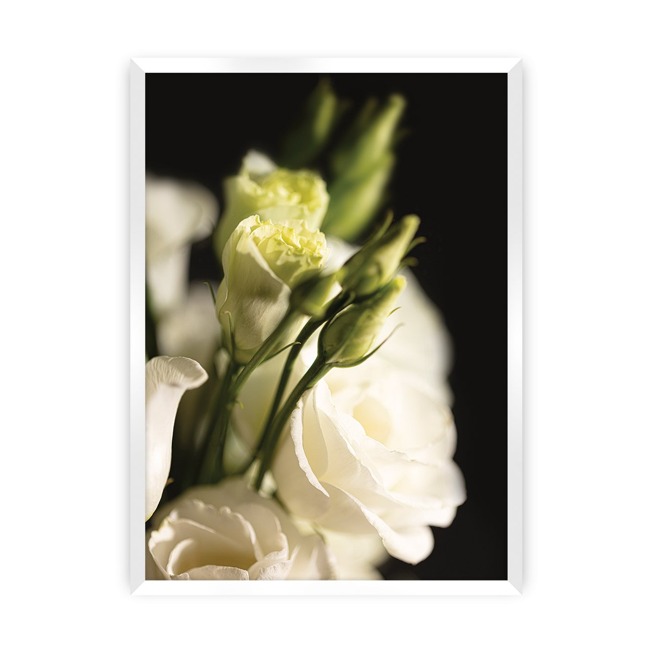Dekoria Plakát Dark Flowers I, 21 x 30 cm, Volba rámku: Bílý