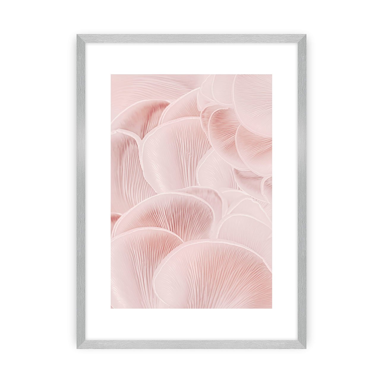 Dekoria Plakát Pastel Pink I, 21 x 30 cm, Zvolit rámek: Stříbrný