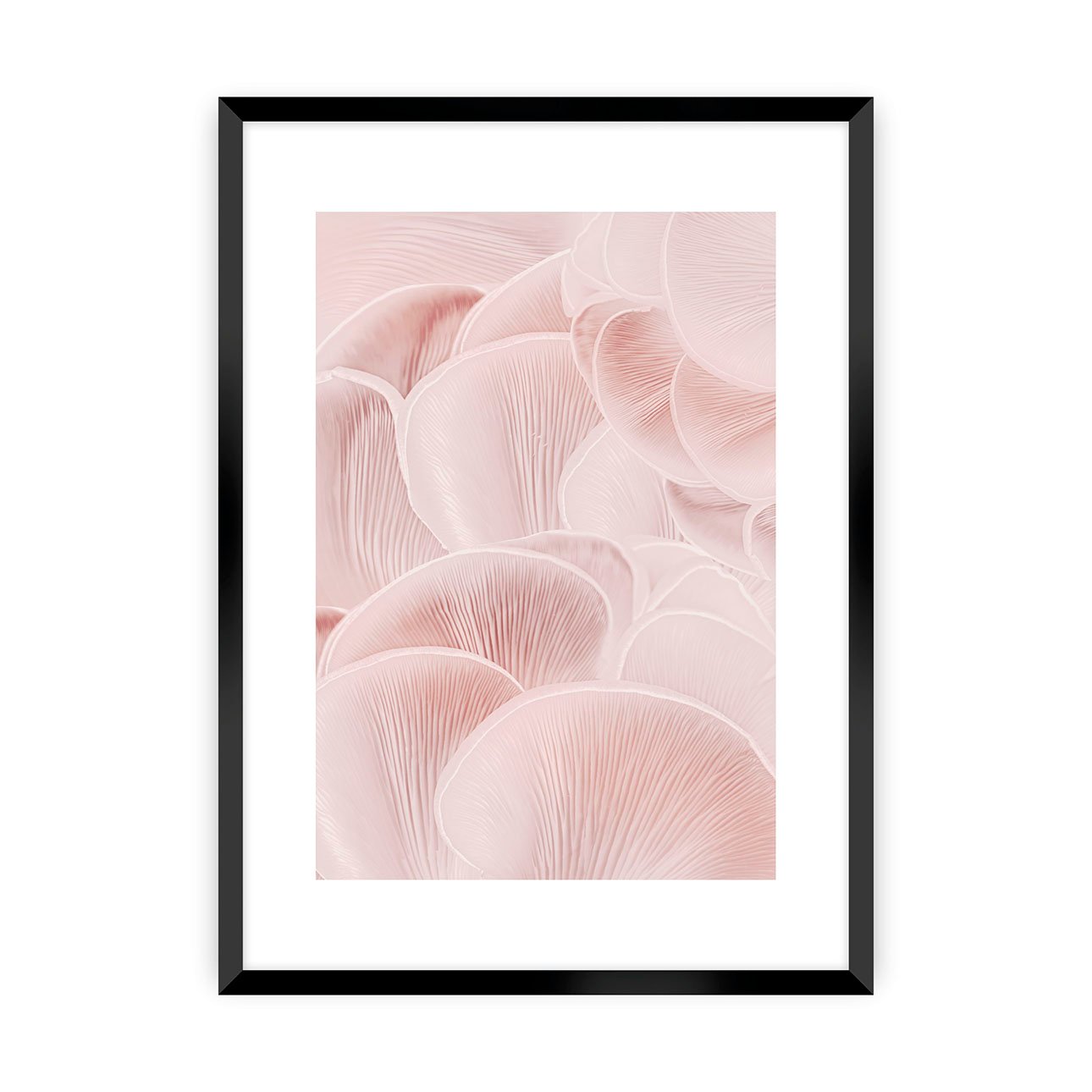 Dekoria Plakát Pastel Pink I, 30 x 40 cm, Zvolit rámek: Černý