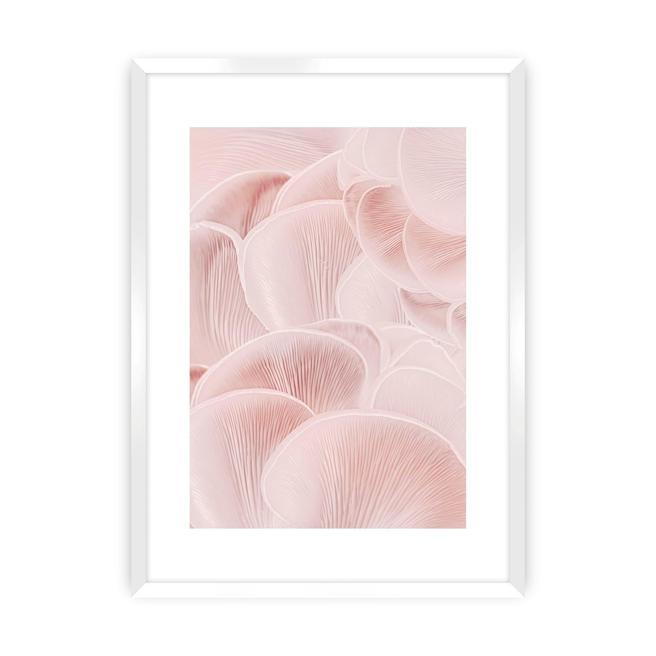 Dekoria Plakát Pastel Pink I, 70 x 100 cm, Zvolit rámek: Bílý