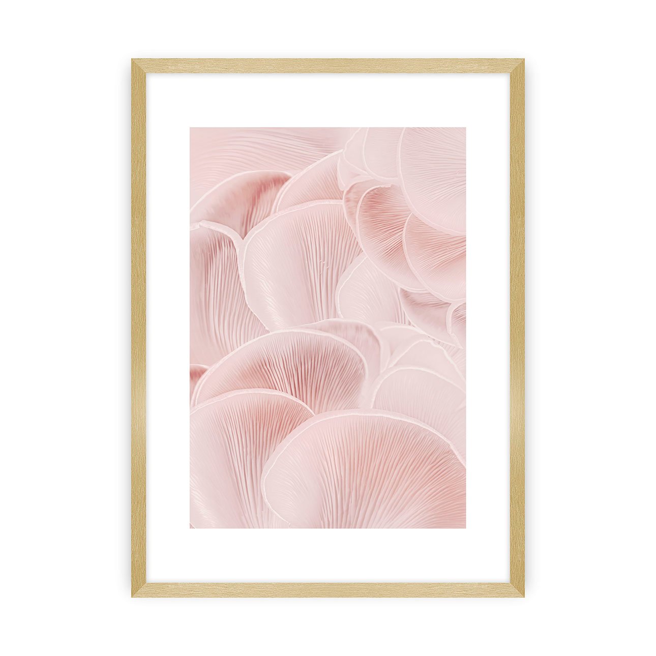Dekoria Plakát Pastel Pink I, 40 x 50 cm, Zvolit rámek: Zlatý