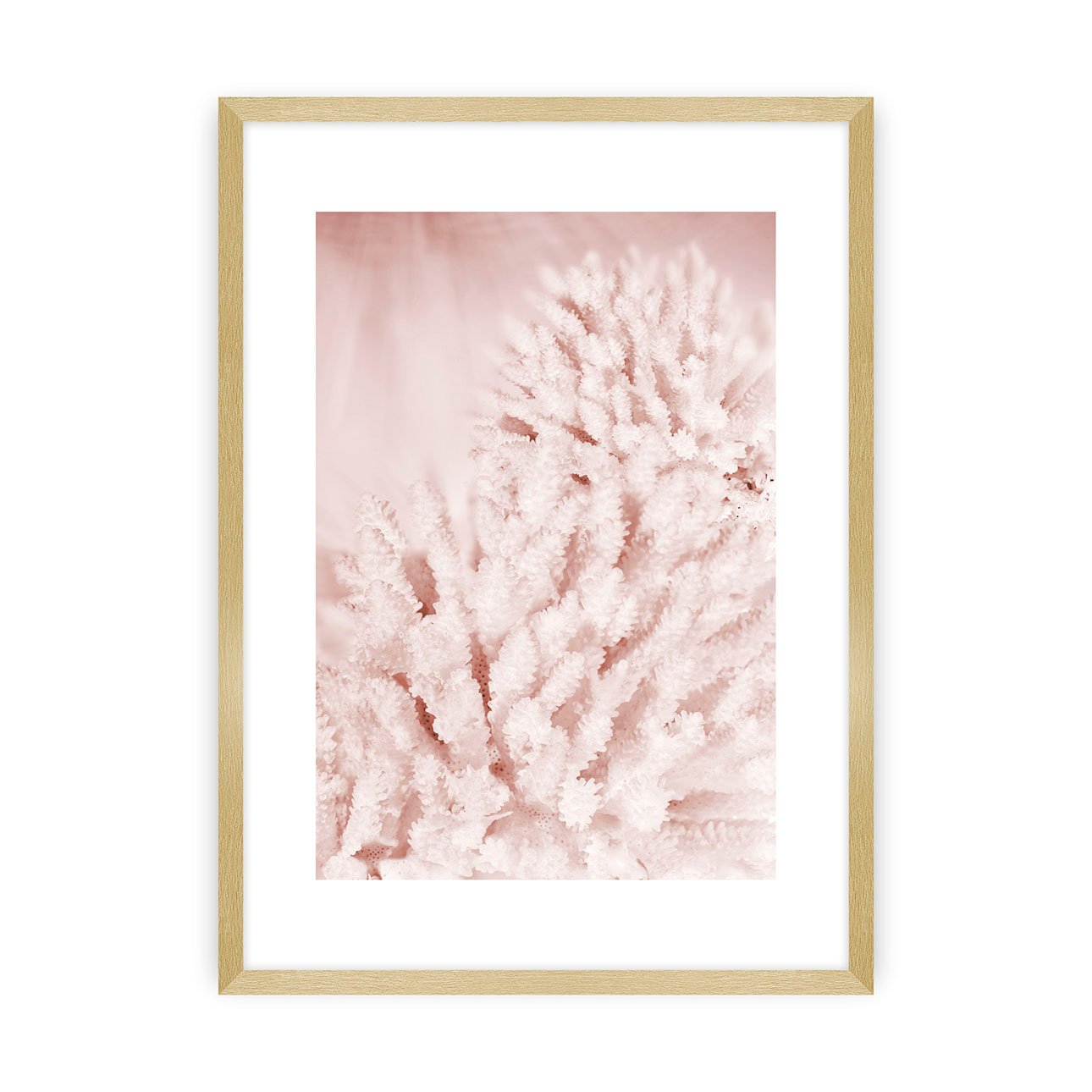 Dekoria Plakát Pastel Pink II, 21 x 30 cm, Zvolit rámek: Zlatý
