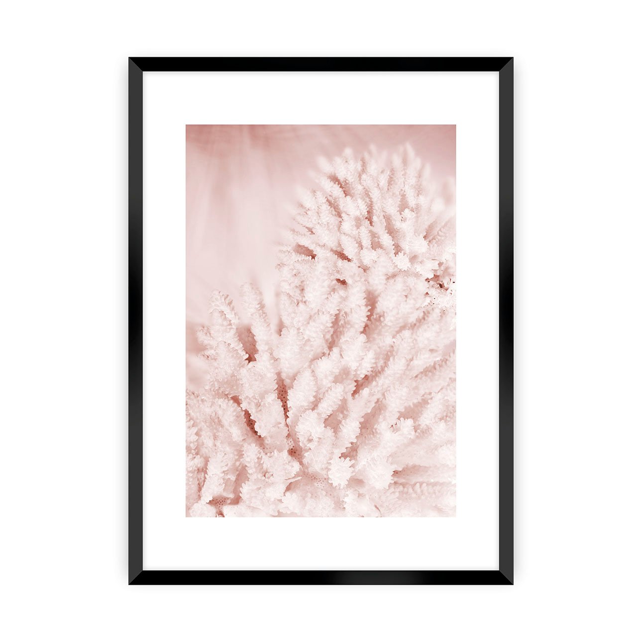 Dekoria Plakát Pastel Pink II, 30 x 40 cm, Zvolit rámek: Černý