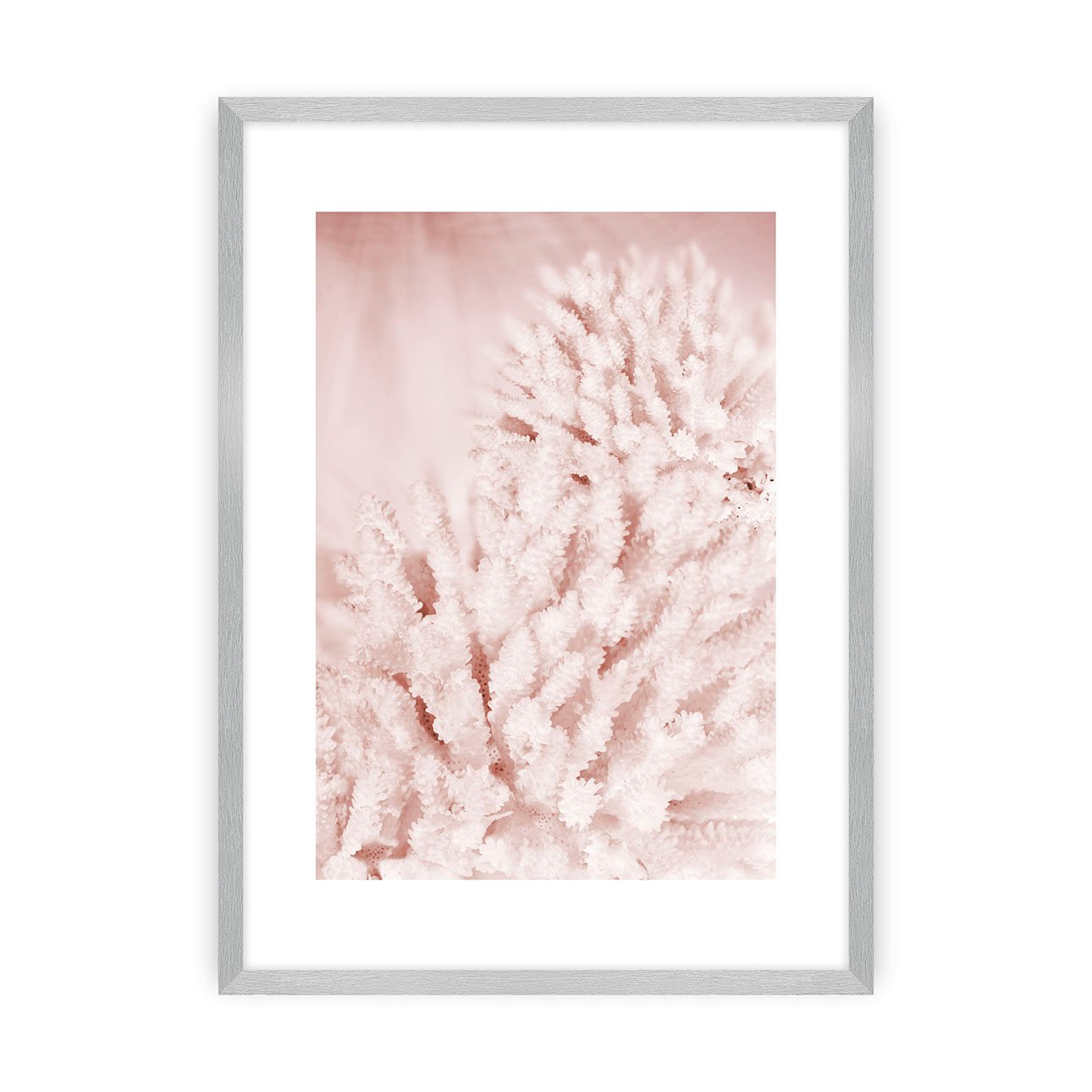Dekoria Plakát Pastel Pink II, 40 x 50 cm, Zvolit rámek: Stříbrný