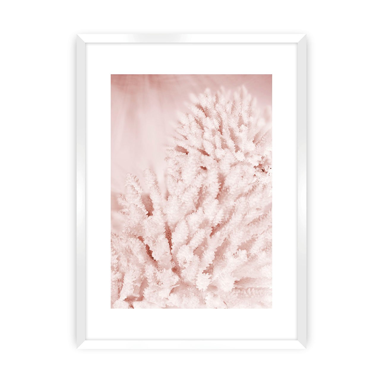 Dekoria Plakát Pastel Pink II, 50 x 70 cm, Zvolit rámek: Bílý