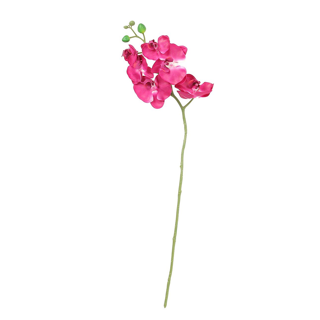 Větvička Orchid 65cm pink
