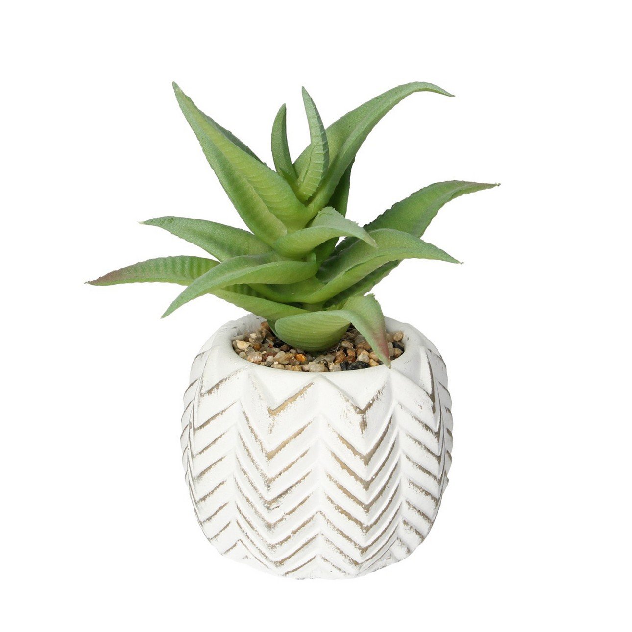E-shop Dekoria Dekorácie Aloes I 14cm, 8 x 8 x 14 cm