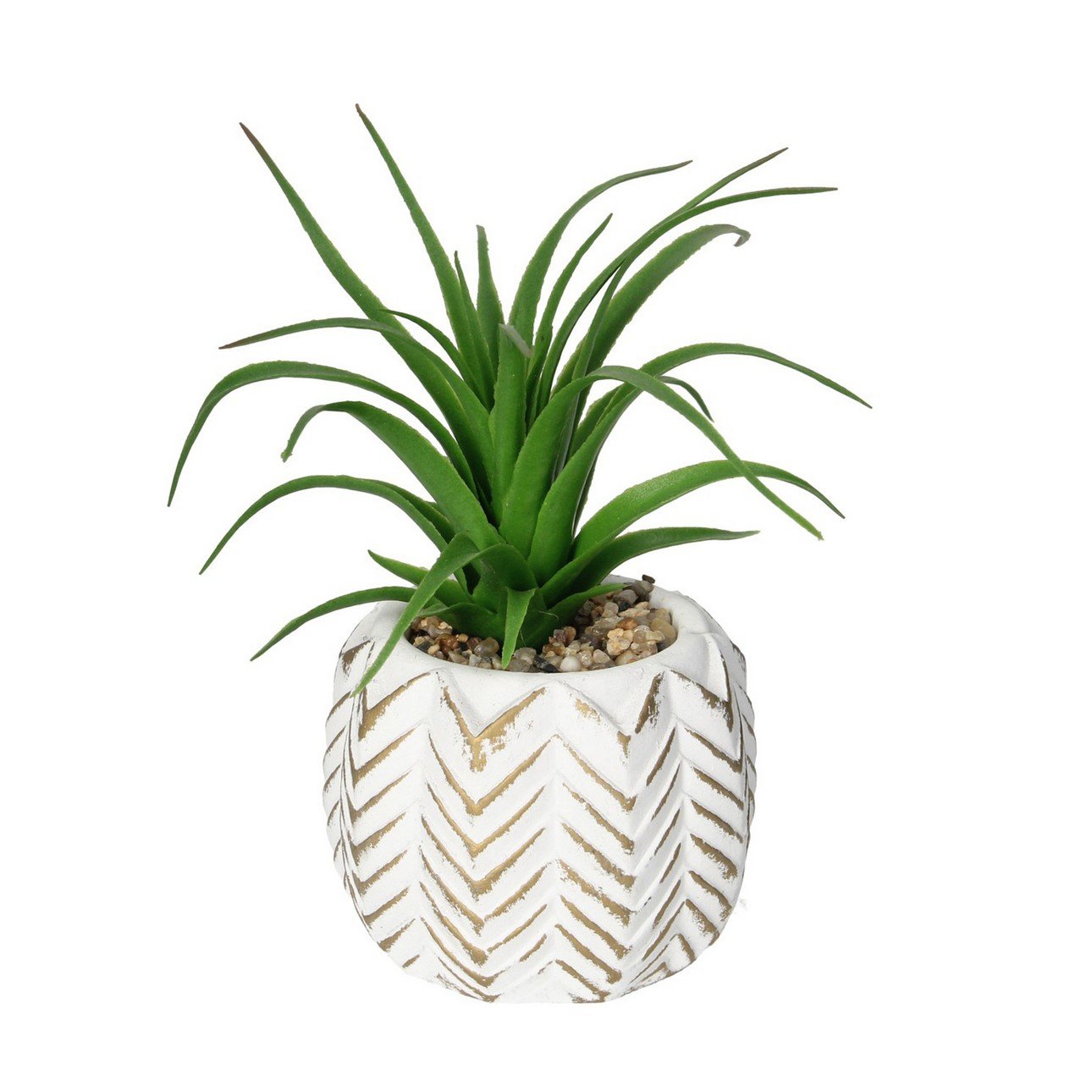 E-shop Dekoria Dekorácie Aloes II 14cm, 8 x 8 x 14 cm