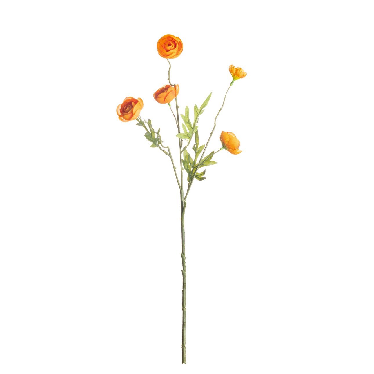 Dekoria Květina dudka chocholatého 55cm orange, 8 x 8 x 55 cm
