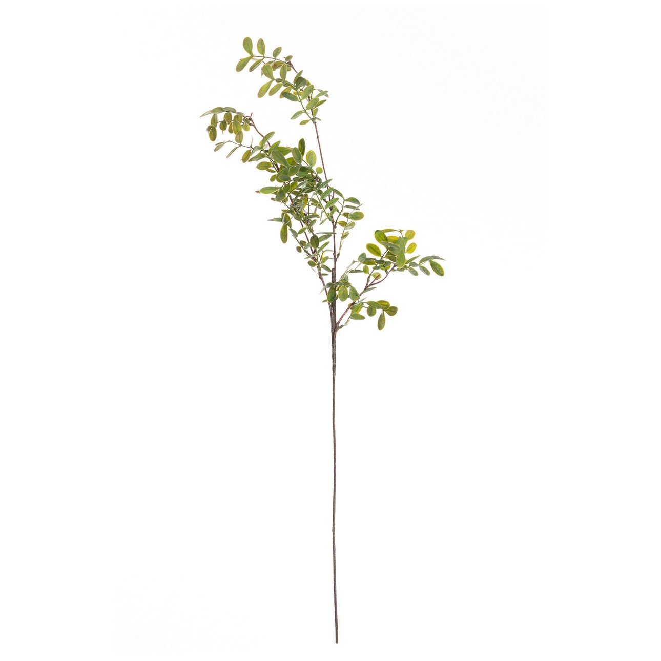 Dekoria Větvička Green Twig100 cm, 20 x 5 x 100 cm