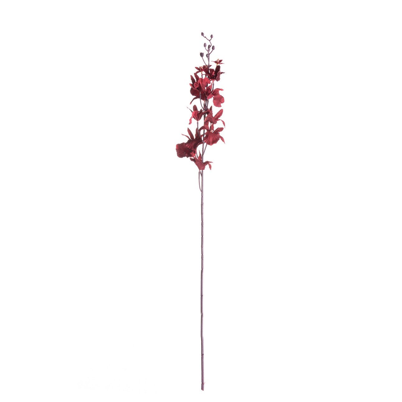 Orchidea 100cm maroon
