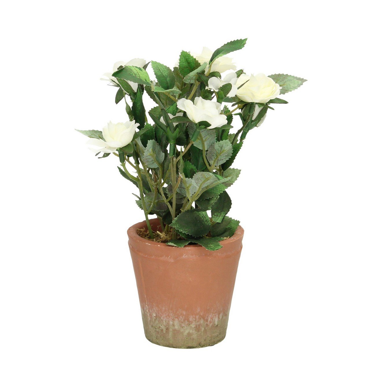 E-shop Dekoria Dekorácie White Rose 24cm, 9 x 9 x 24 cm
