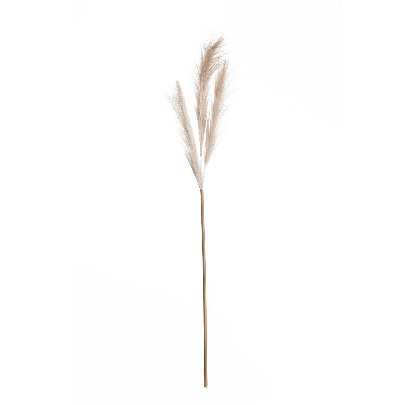Pampová tráva 110cm beige
