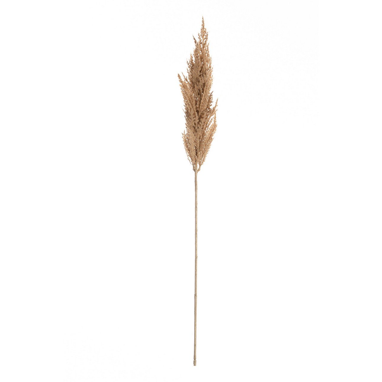 Dekoria Větvička pampové trávy 90cm beige, 8 x 8 x 90 cm