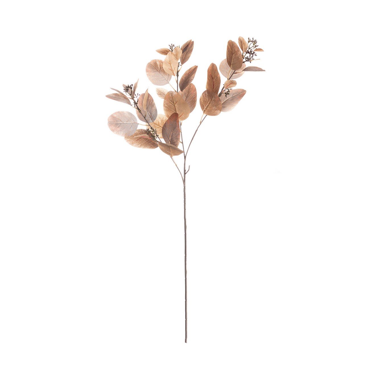 Dekoria Eukalyptová vetvička 80cm brown, 10 x 10 x 80 cm