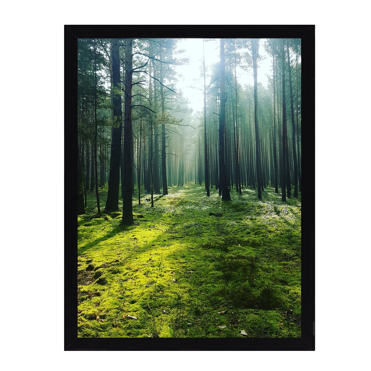 Dekoria Obraz Green Forest 30x40cm, 30 x 40 cm